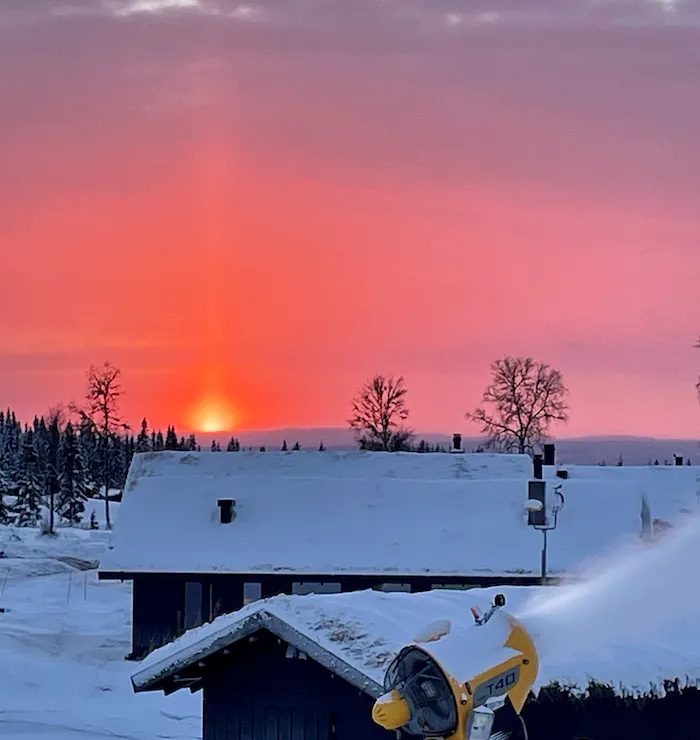 Hva skjer når ledelsen fjernes?