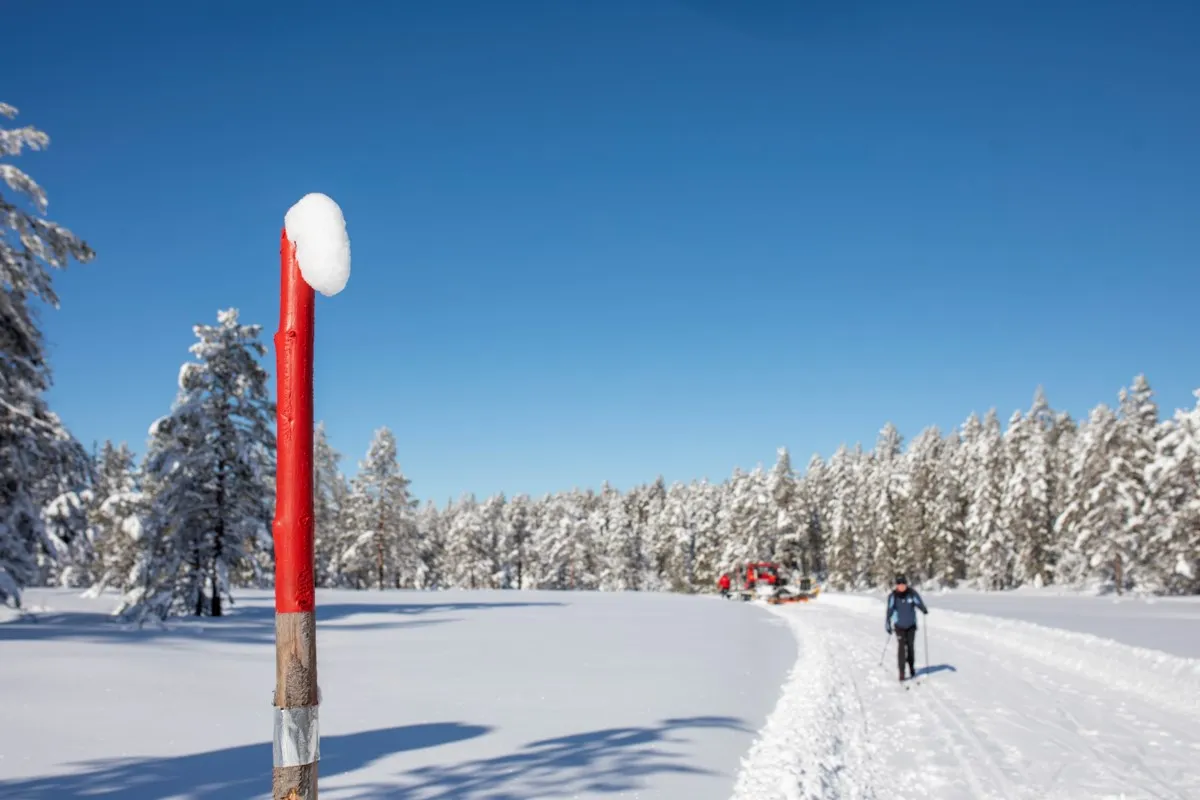 Ski­foreningen logo